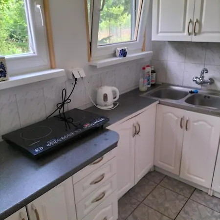 Lesna Chata Kuracyjna Nad Rzeka Z Sauna W Borach Tucholskich Bielska Struga Exterior photo