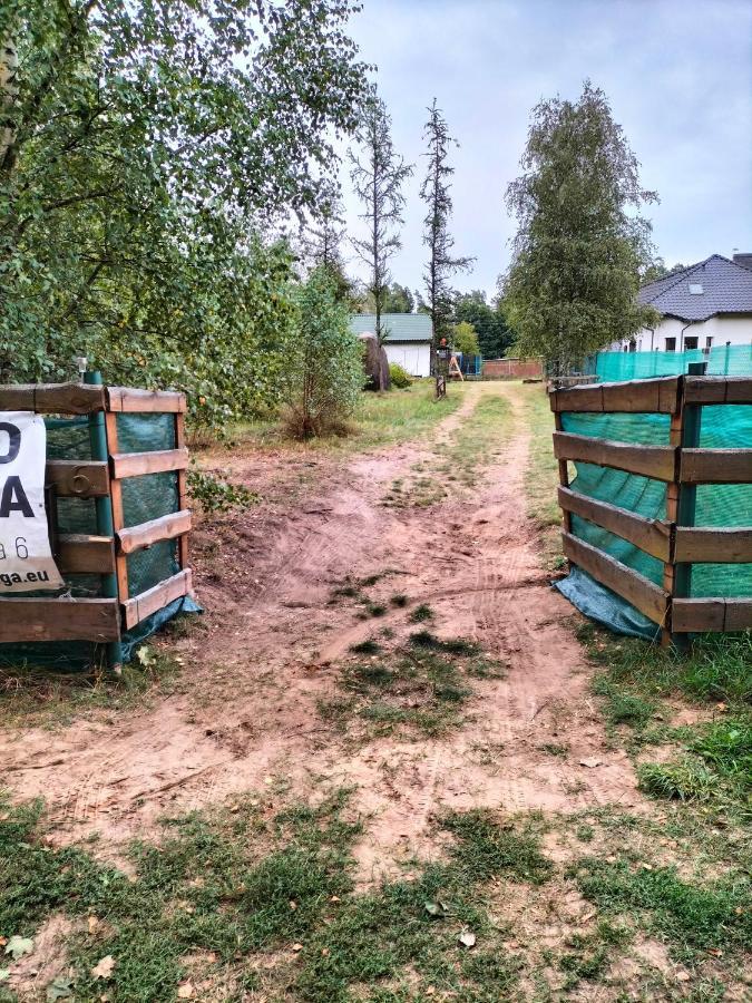 Lesna Kuracyjna Nad Rzeka Z Sauna W Borach Tucholskich *