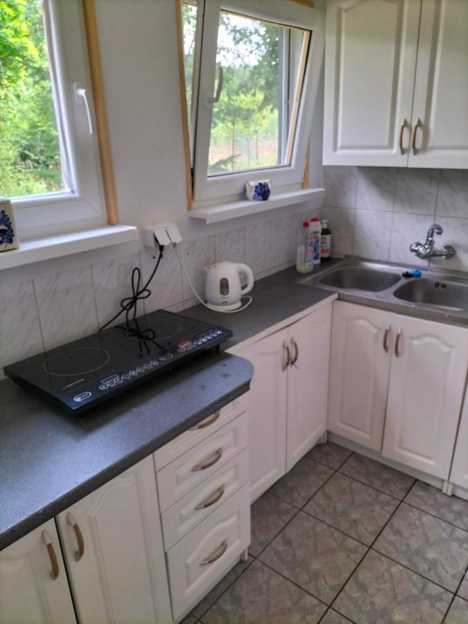 Lesna Kuracyjna Nad Rzeka Z Sauna W Borach Tucholskich Holiday home *