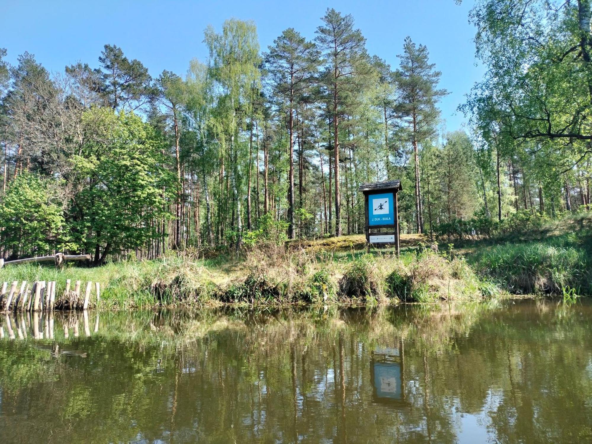 Lesna Kuracyjna Nad Rzeka Z Sauna W Borach Tucholskich