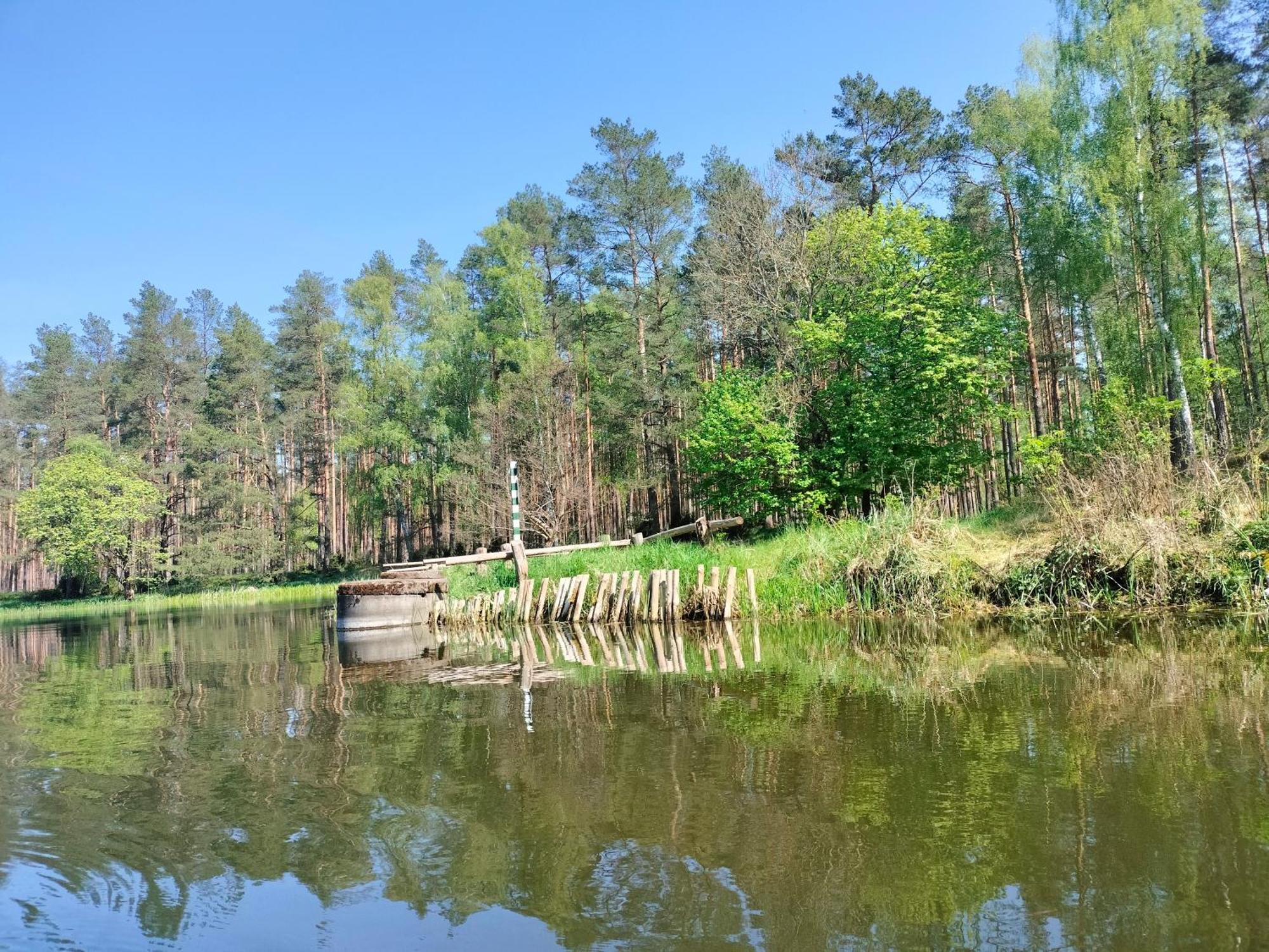Lesna Kuracyjna Nad Rzeka Z Sauna W Borach Tucholskich *