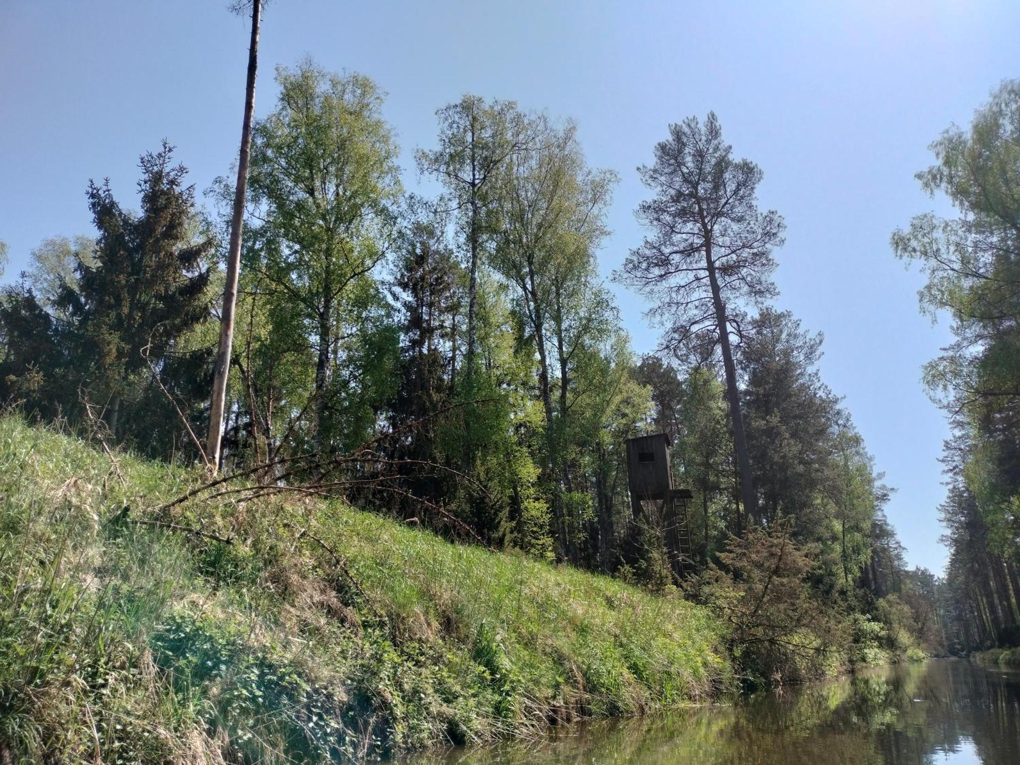 Lesna Kuracyjna Nad Rzeka Z Sauna W Borach Tucholskich Bielska Struga