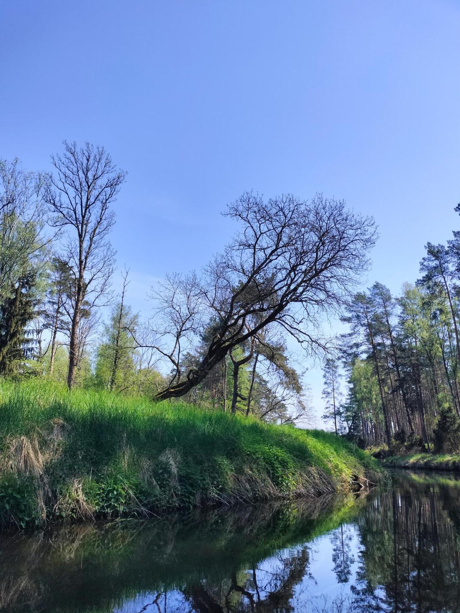 Lesna Kuracyjna Nad Rzeka Z Sauna W Borach Tucholskich Holiday home *