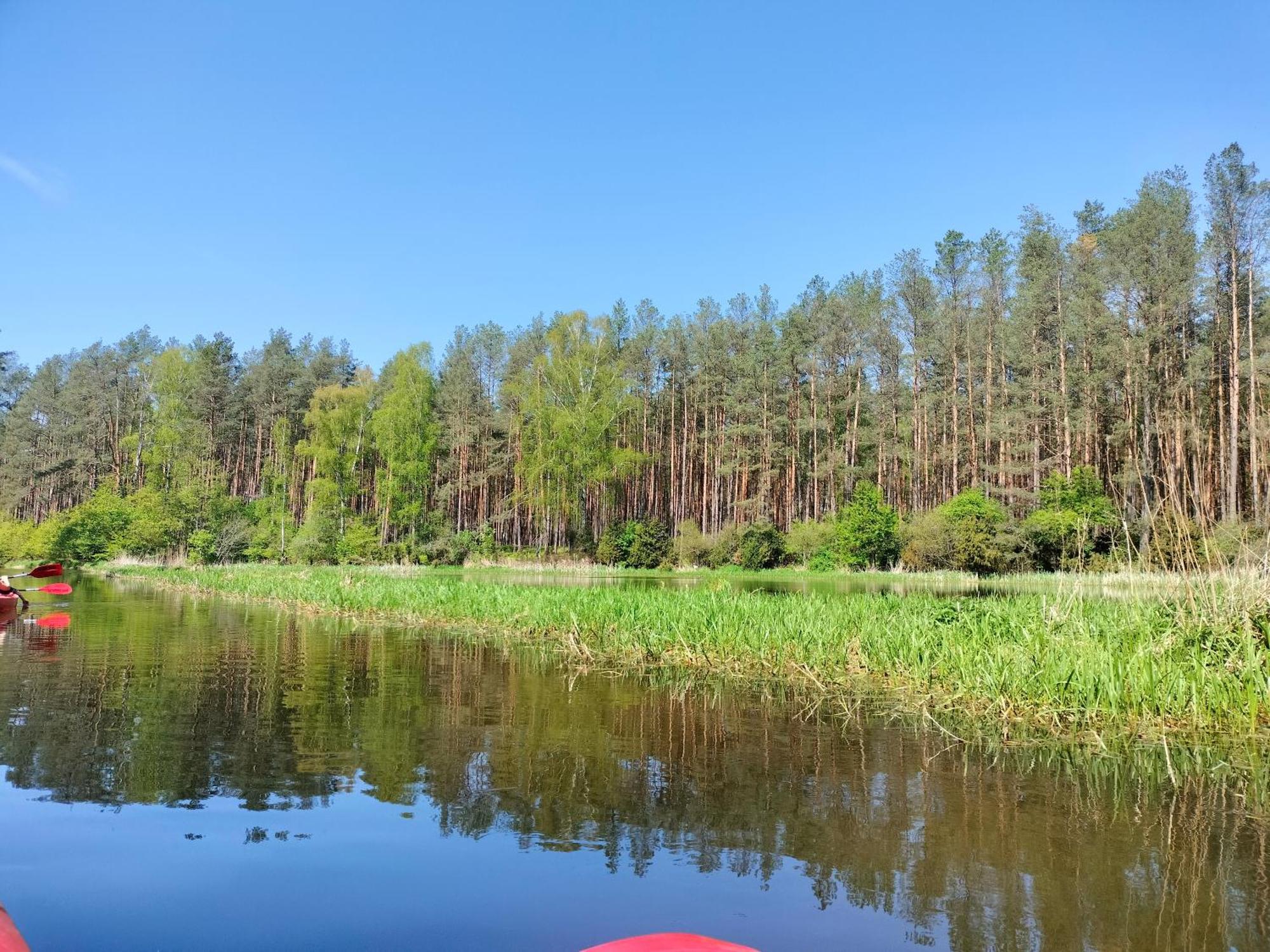 Lesna Kuracyjna Nad Rzeka Z Sauna W Borach Tucholskich Holiday home Bielska Struga
