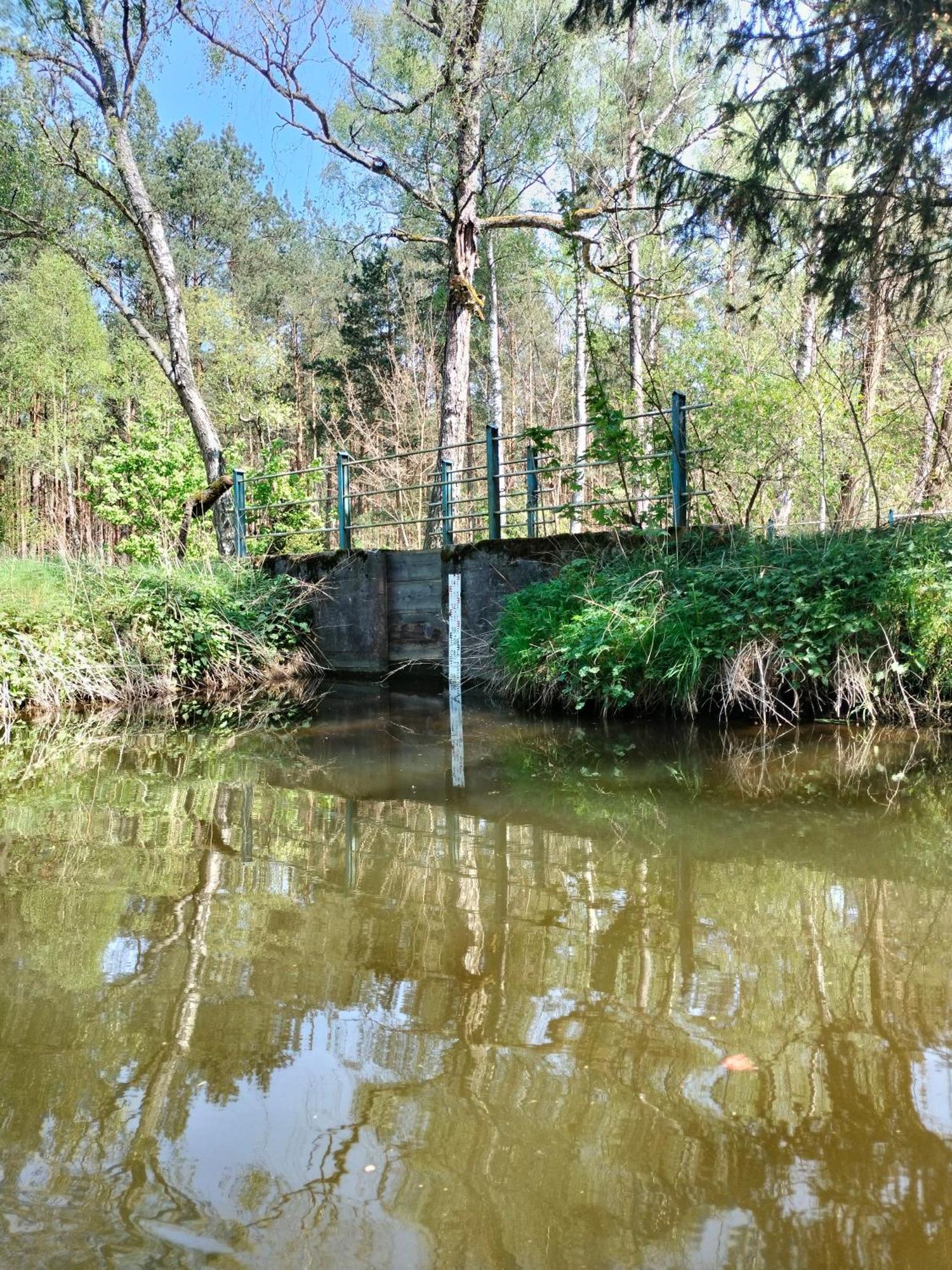 Lesna Kuracyjna Nad Rzeka Z Sauna W Borach Tucholskich * Bielska Struga
