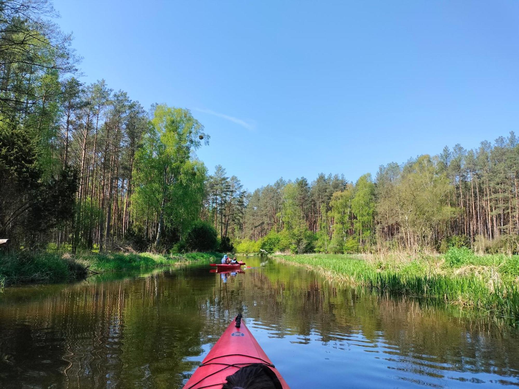 Lesna Kuracyjna Nad Rzeka Z Sauna W Borach Tucholskich Holiday home Bielska Struga