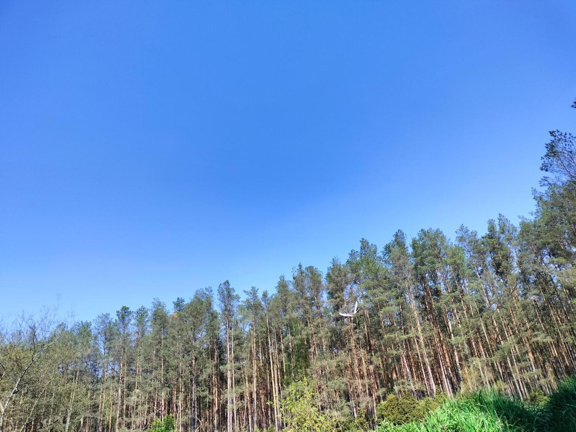 Lesna Kuracyjna Nad Rzeka Z Sauna W Borach Tucholskich Holiday home