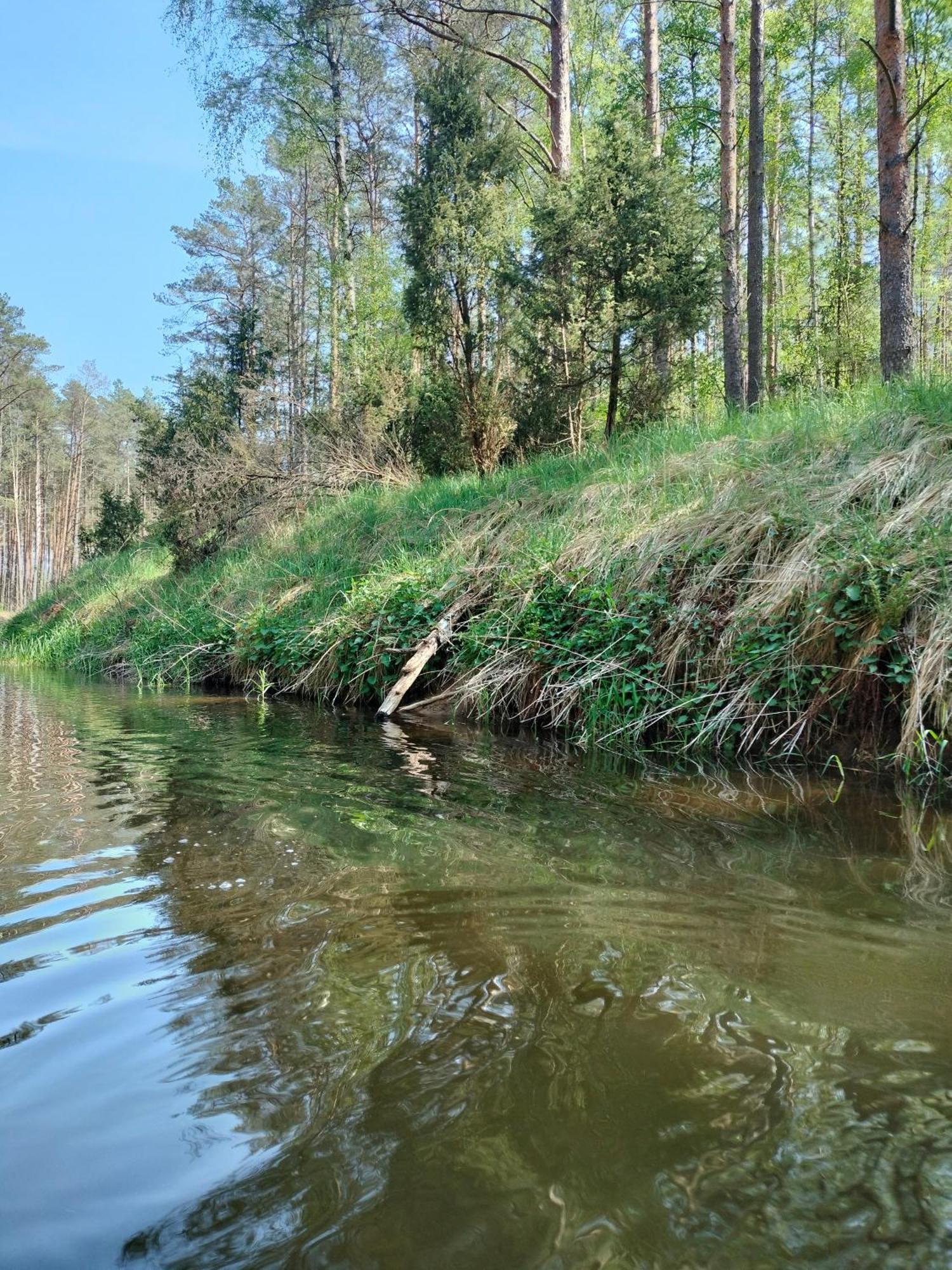 Lesna Kuracyjna Nad Rzeka Z Sauna W Borach Tucholskich Holiday home Bielska Struga