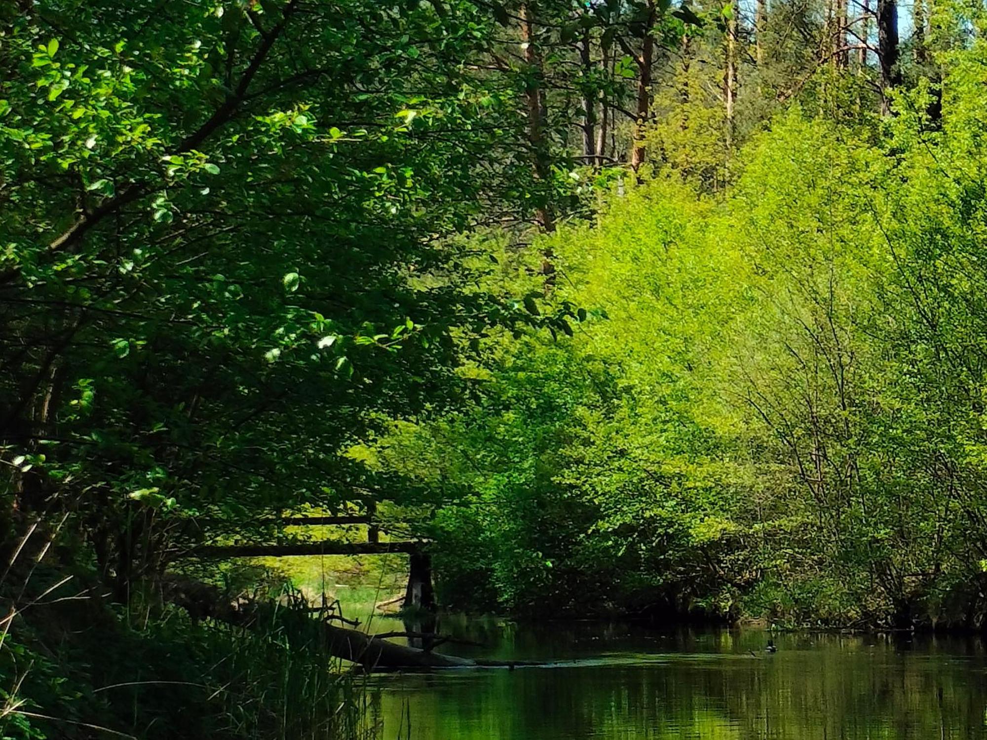 Lesna Kuracyjna Nad Rzeka Z Sauna W Borach Tucholskich Holiday home