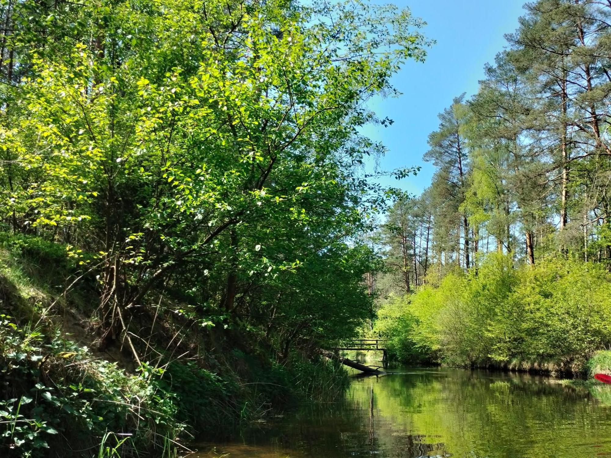 Lesna Kuracyjna Nad Rzeka Z Sauna W Borach Tucholskich Bielska Struga