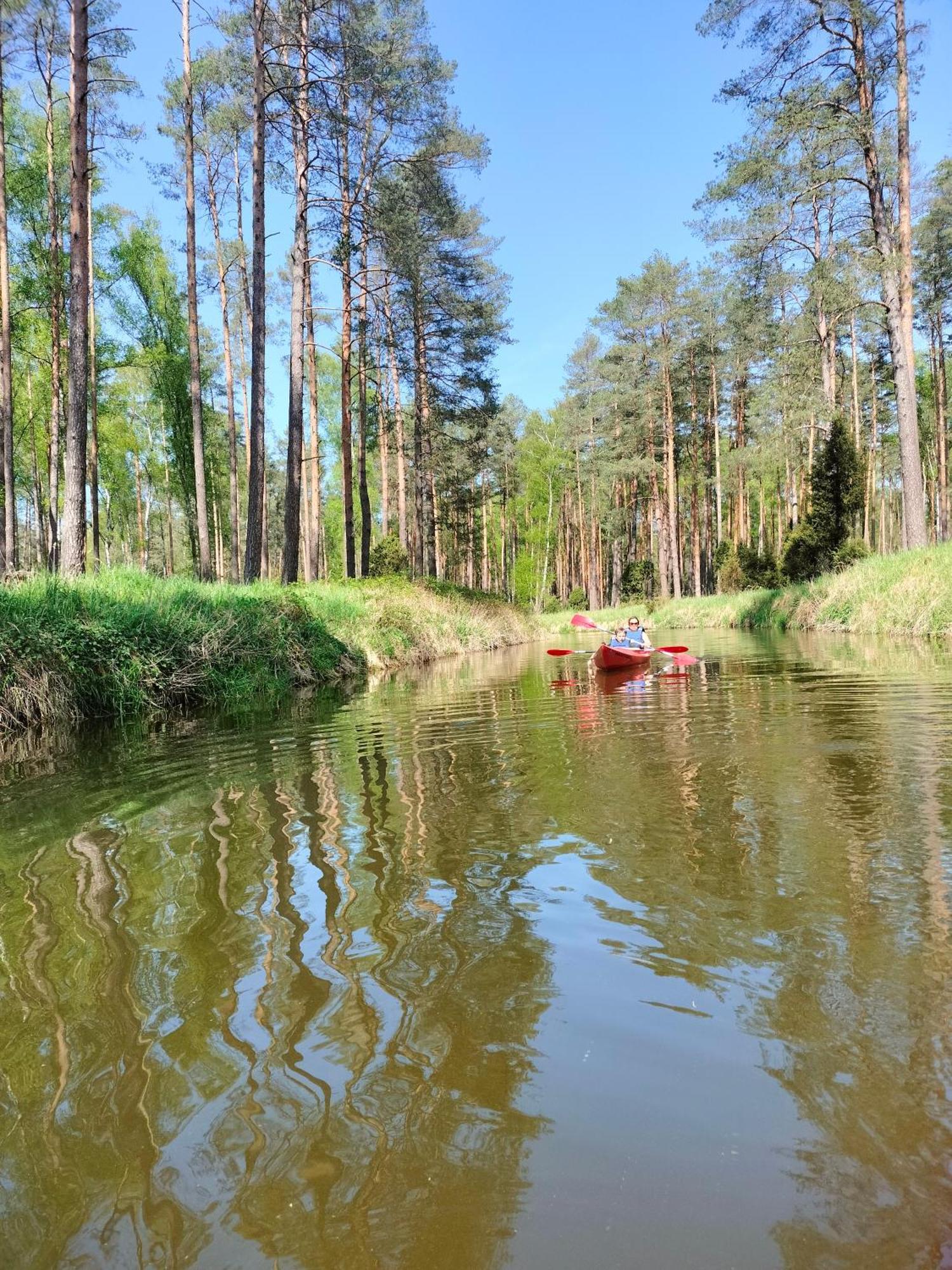 Lesna Kuracyjna Nad Rzeka Z Sauna W Borach Tucholskich * Bielska Struga