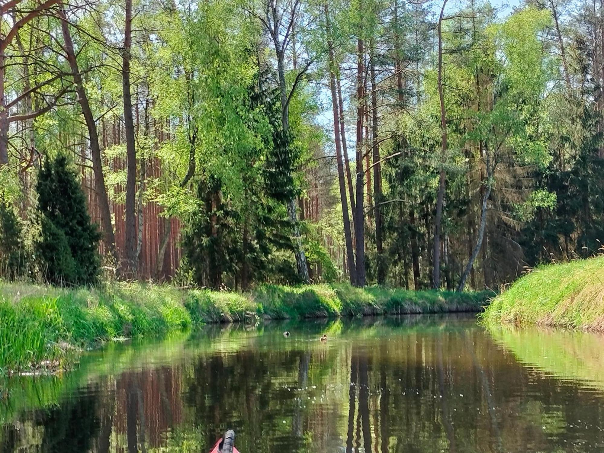 Holiday home Lesna Kuracyjna Nad Rzeka Z Sauna W Borach Tucholskich *