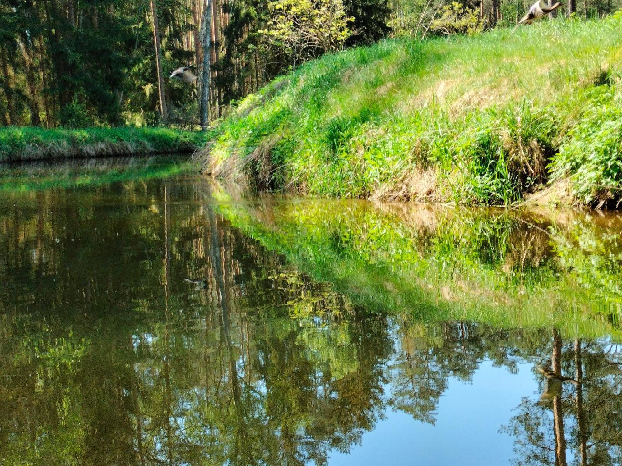 Lesna Kuracyjna Nad Rzeka Z Sauna W Borach Tucholskich Bielska Struga