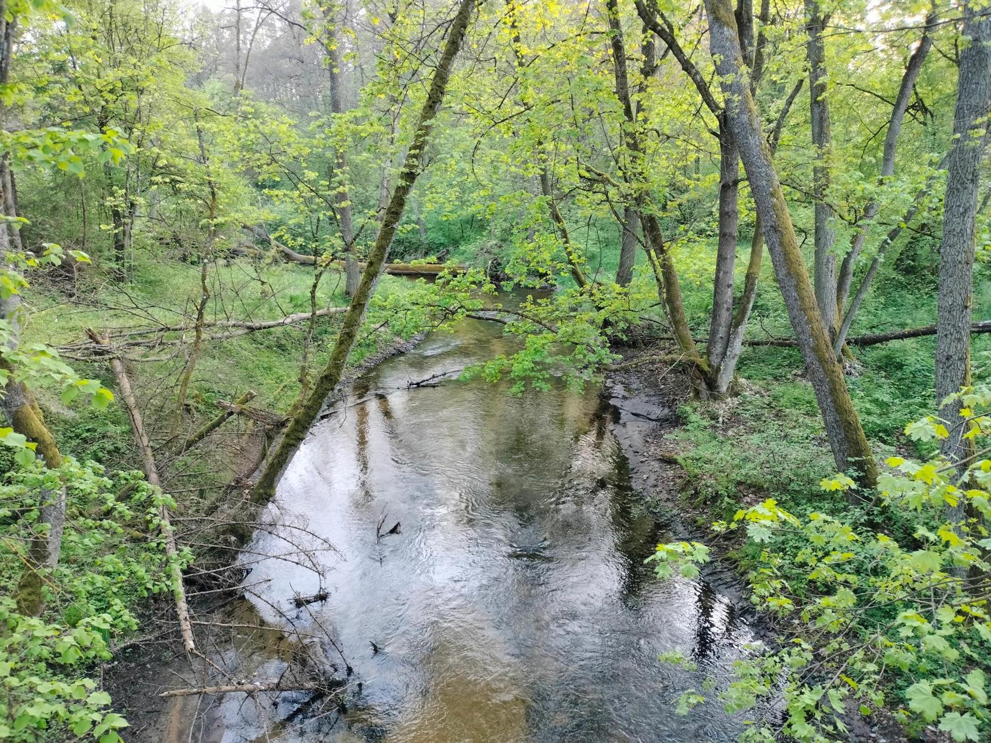Lesna Kuracyjna Nad Rzeka Z Sauna W Borach Tucholskich