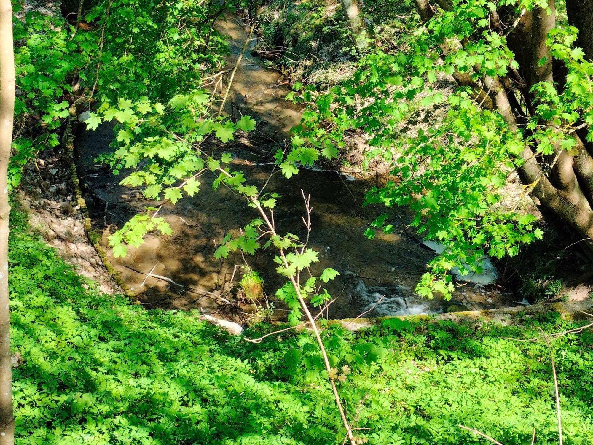 Lesna Kuracyjna Nad Rzeka Z Sauna W Borach Tucholskich Holiday home Bielska Struga