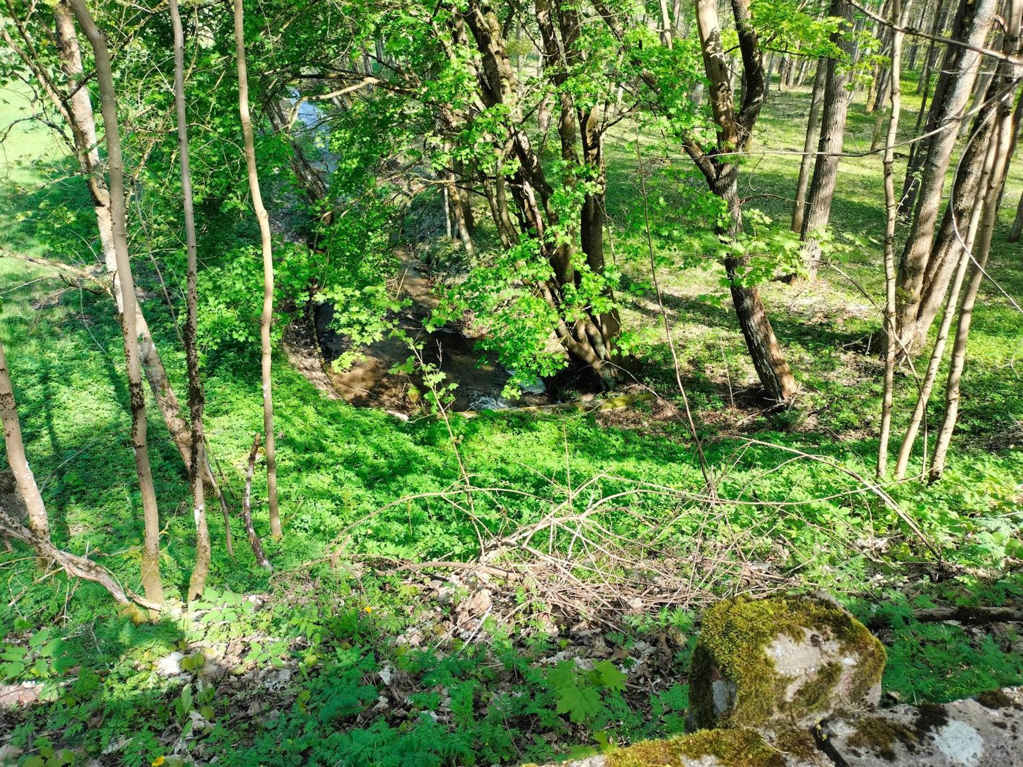 Lesna Kuracyjna Nad Rzeka Z Sauna W Borach Tucholskich Holiday home