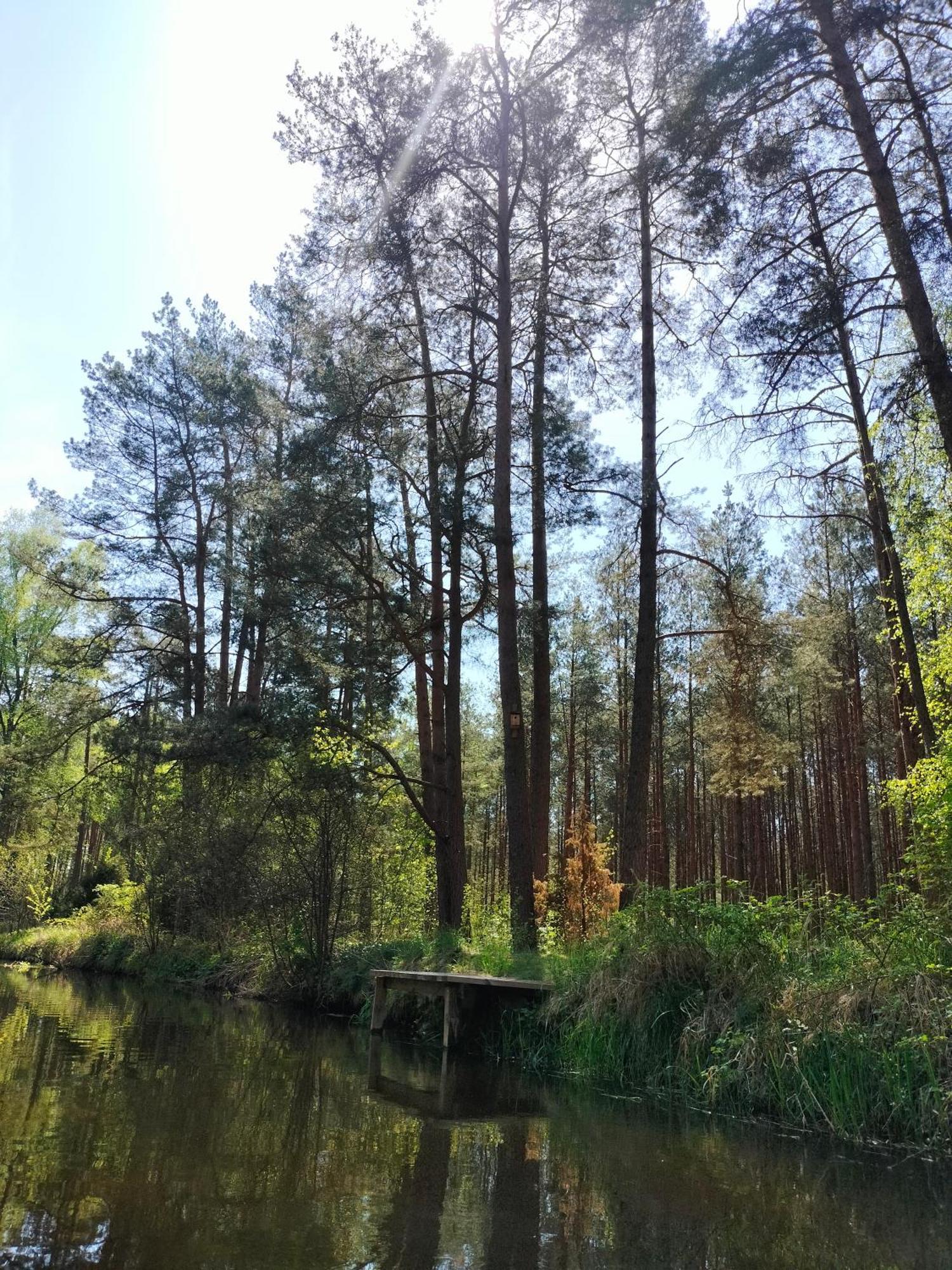 Lesna Kuracyjna Nad Rzeka Z Sauna W Borach Tucholskich Bielska Struga