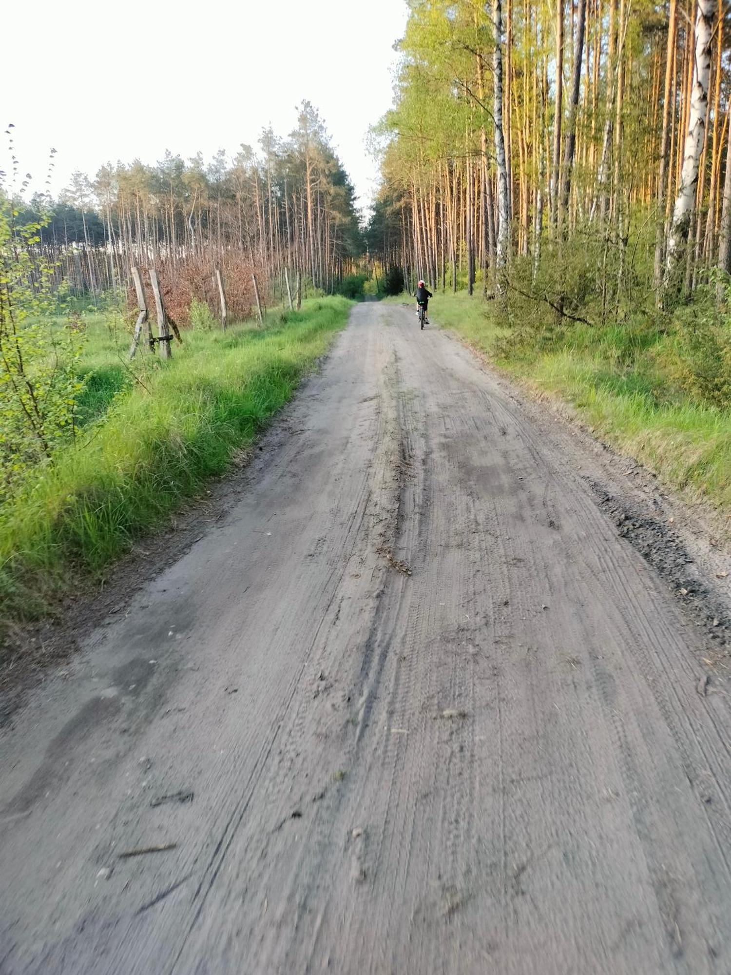Lesna Kuracyjna Nad Rzeka Z Sauna W Borach Tucholskich Holiday home *