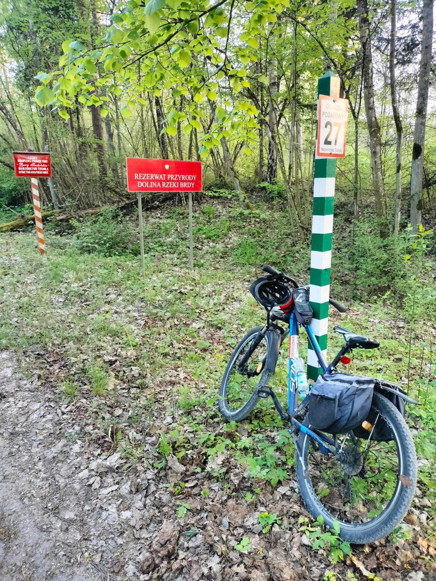 Lesna Kuracyjna Nad Rzeka Z Sauna W Borach Tucholskich *