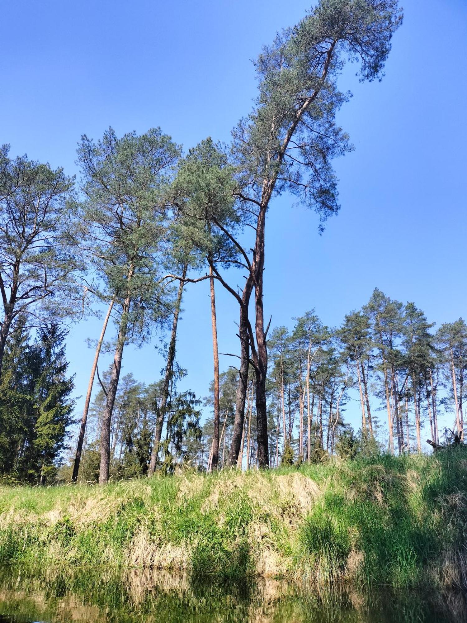 Holiday home Lesna Kuracyjna Nad Rzeka Z Sauna W Borach Tucholskich