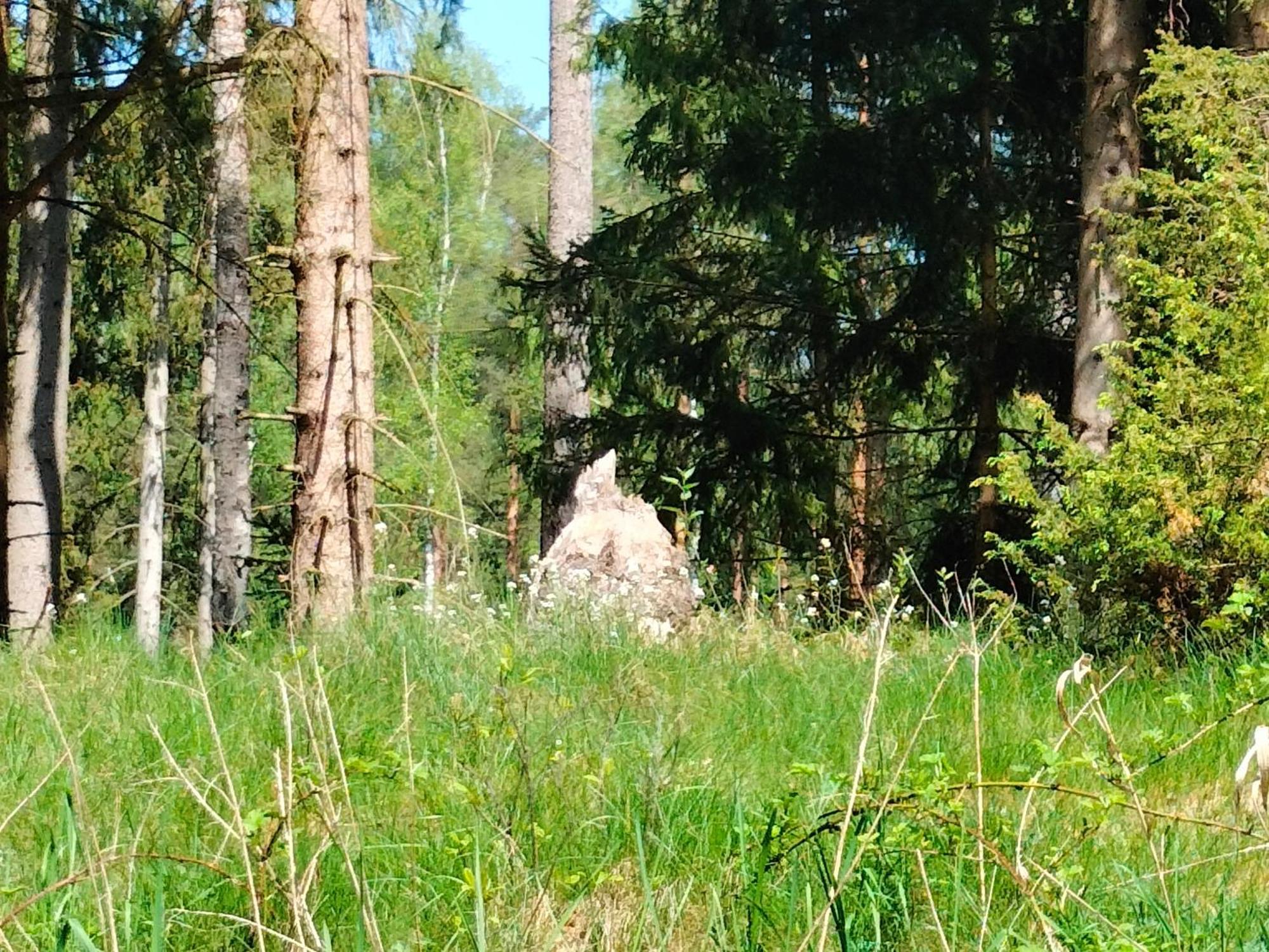 Lesna Kuracyjna Nad Rzeka Z Sauna W Borach Tucholskich