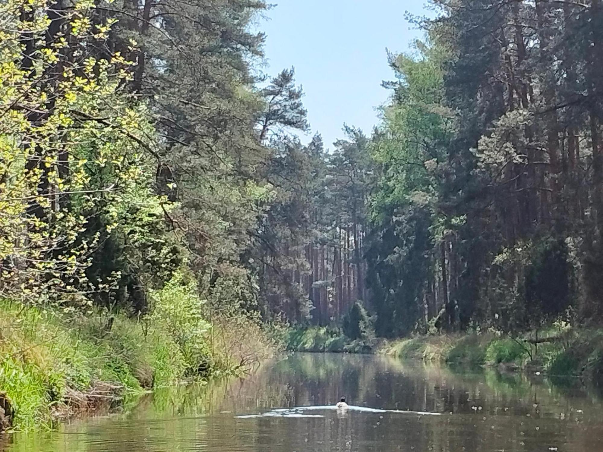 Holiday home Lesna Kuracyjna Nad Rzeka Z Sauna W Borach Tucholskich *