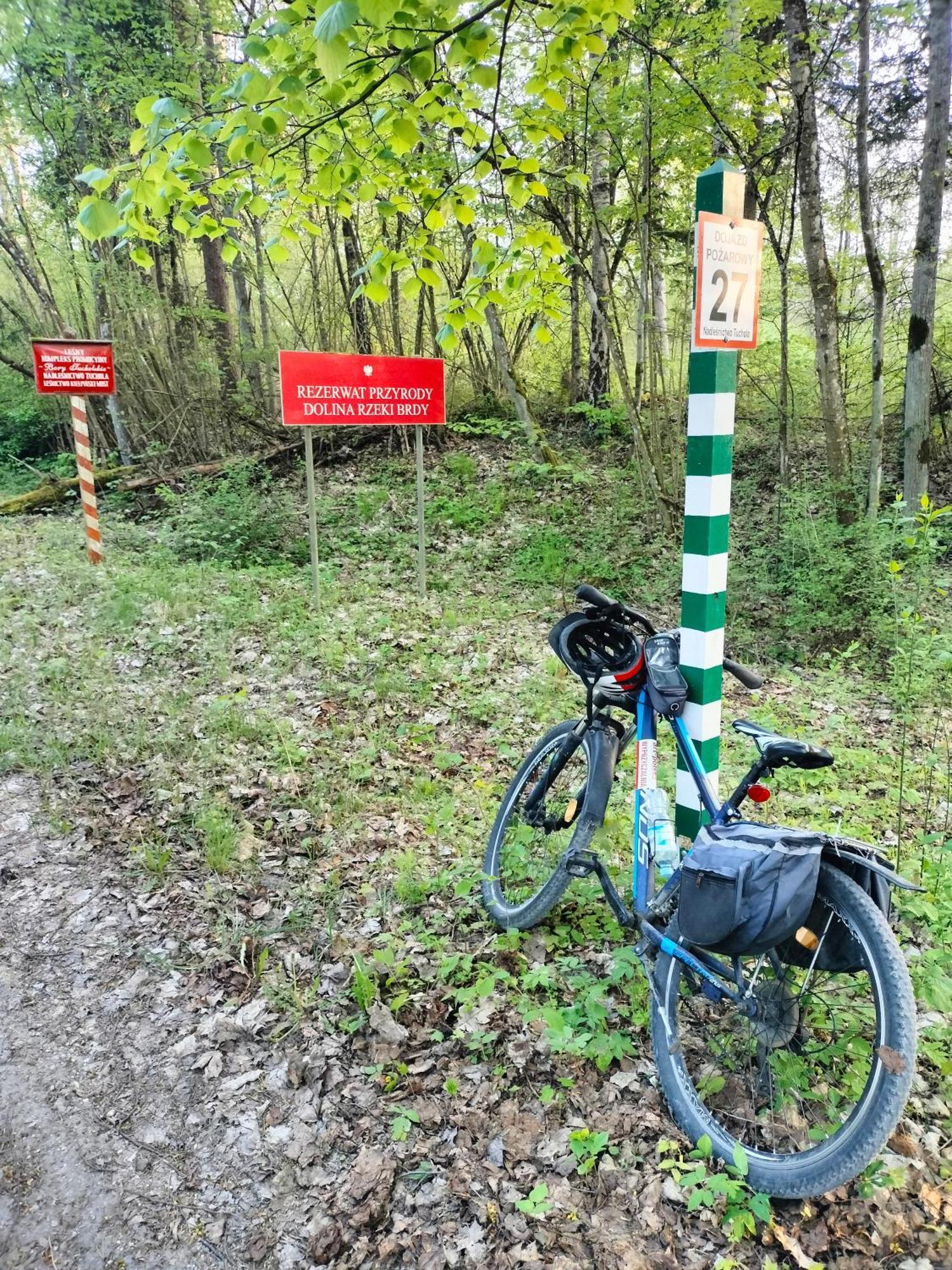 Lesna Kuracyjna Nad Rzeka Z Sauna W Borach Tucholskich *