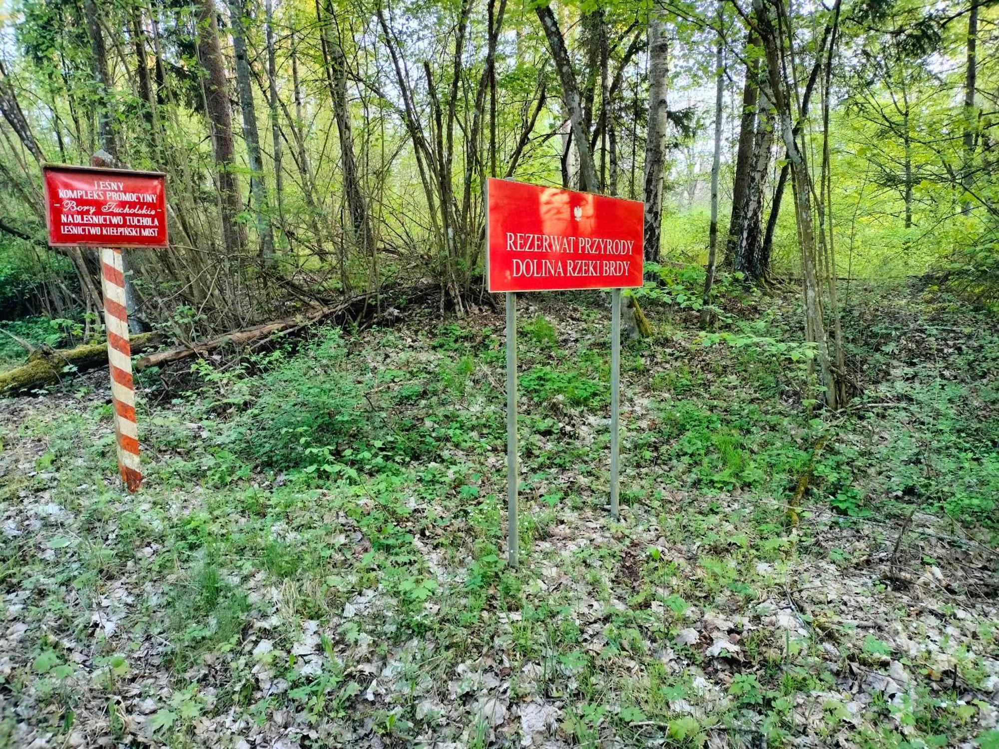Lesna Kuracyjna Nad Rzeka Z Sauna W Borach Tucholskich * Bielska Struga