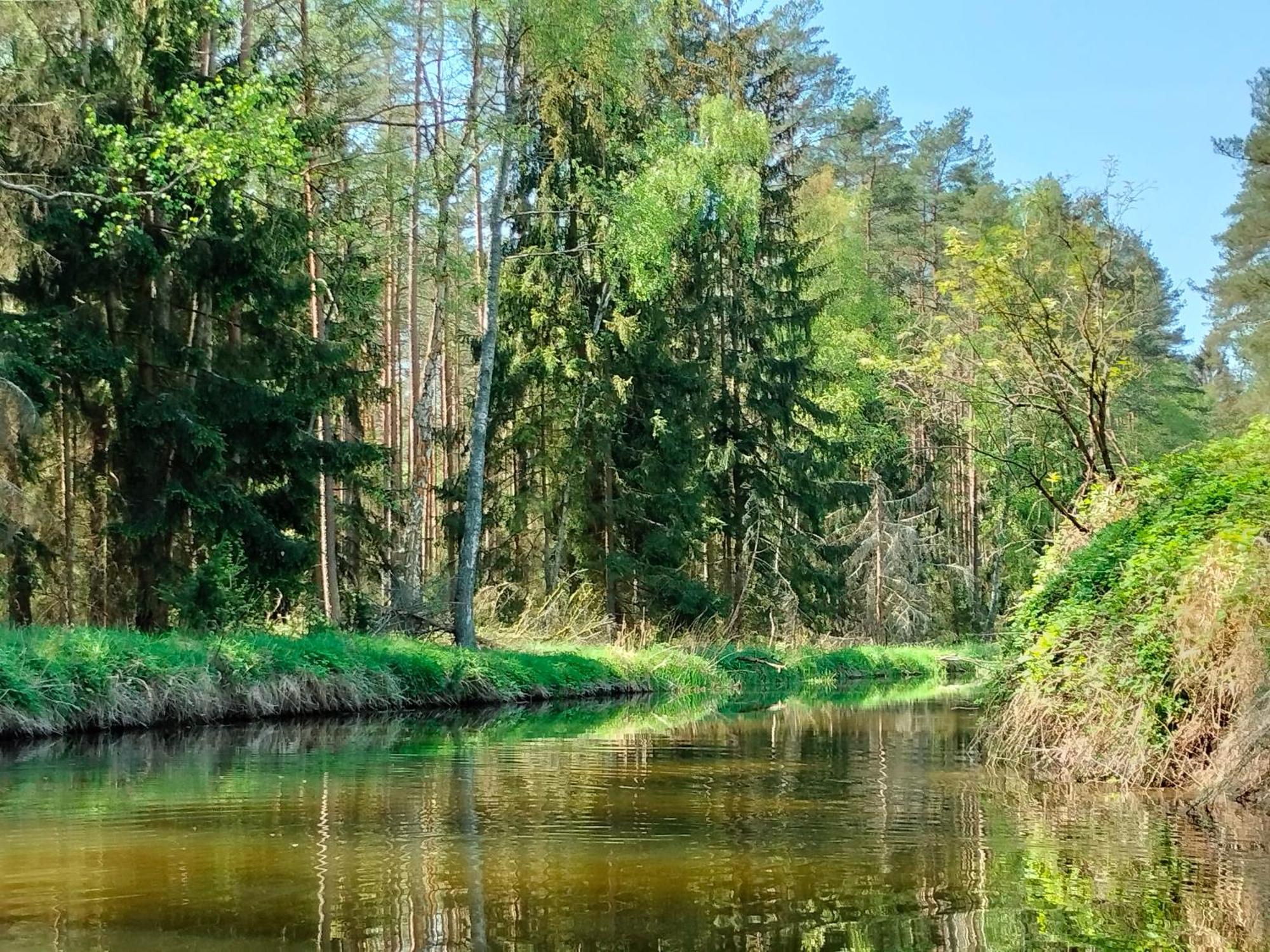 Lesna Kuracyjna Nad Rzeka Z Sauna W Borach Tucholskich