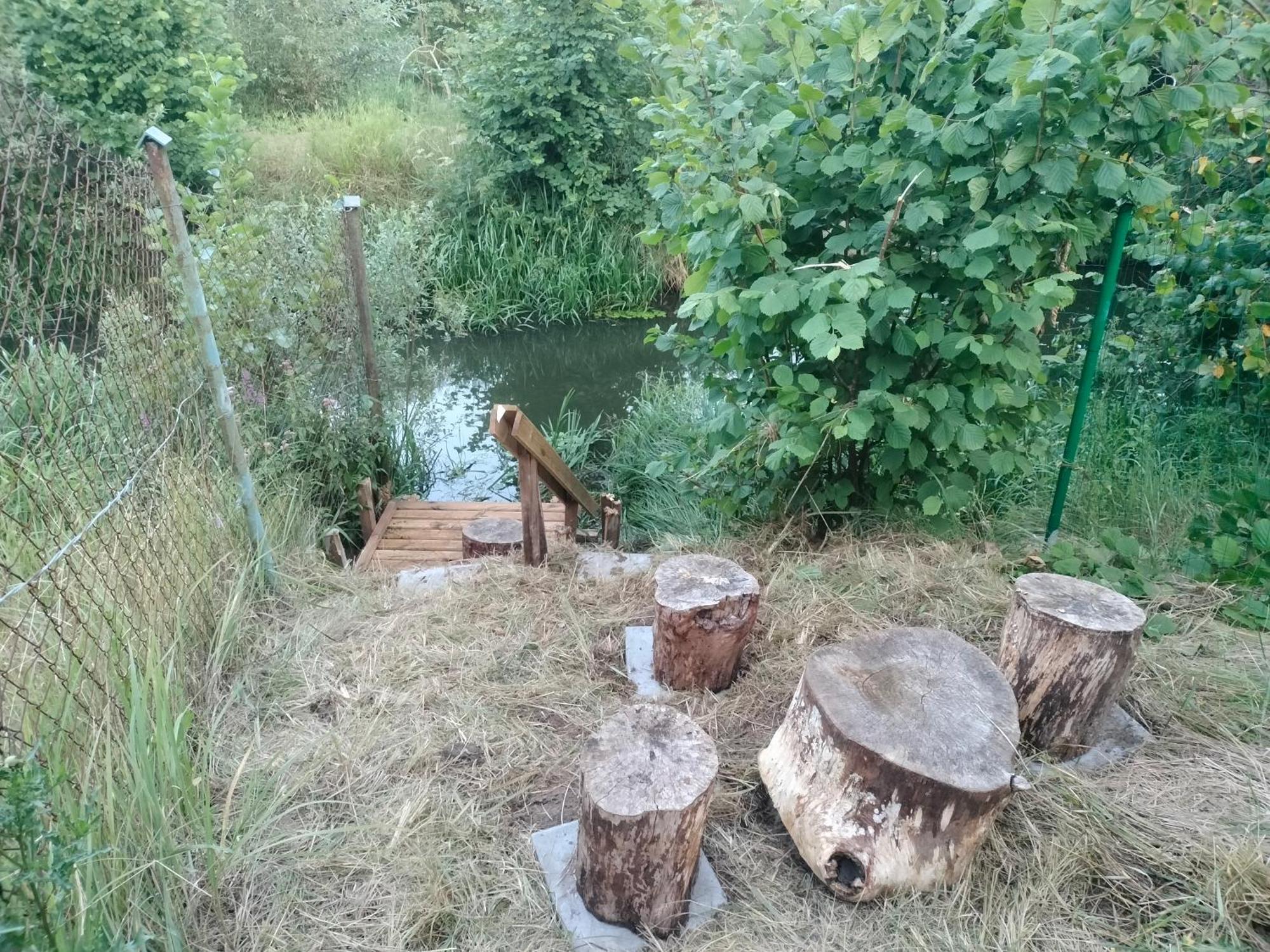 Lesna Kuracyjna Nad Rzeka Z Sauna W Borach Tucholskich *
